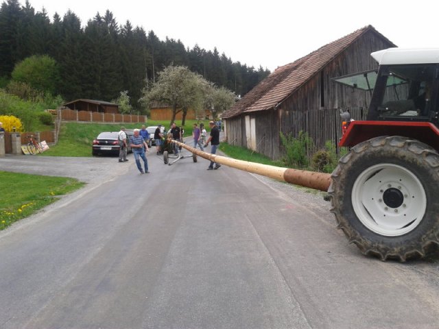 Maibaum2013